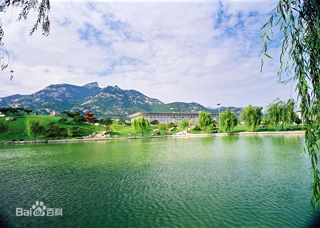 深圳到泰安物流公司