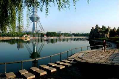 深圳到石家莊物流公司